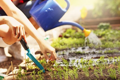 Landscape design and garden planning in Osterley