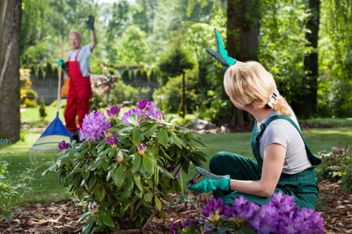 A commitment to ethical landscaping practices in Osterley