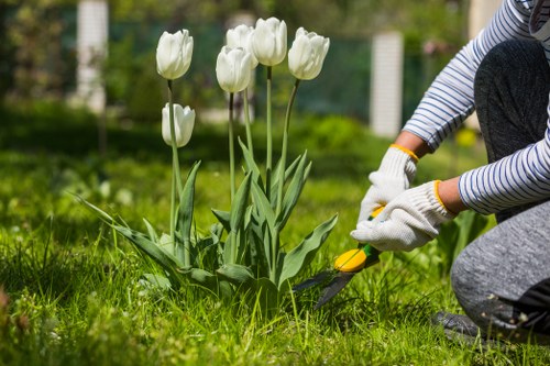 Warm decorative garden lighting suitable for homes and businesses in Osterley