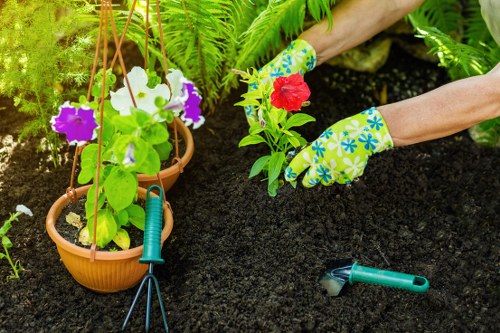 Garden landscaping in Osterley with structured planting and patio design