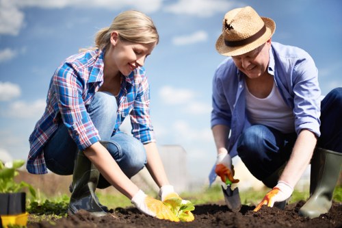Professional landscaping approach for Osterley homes