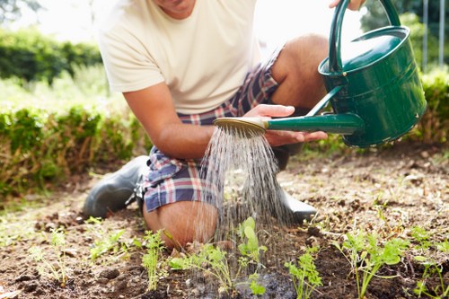 Front garden landscaping and kerb appeal improvements in Osterley