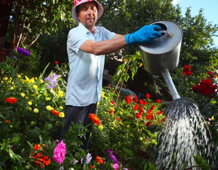 Waste removal and site cleanup during garden landscaping work