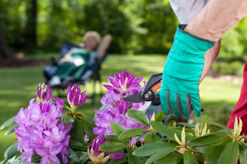 Ethical oversight and compliance review in landscaping operations