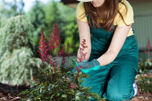 A professionally prepared planted garden space in Osterley