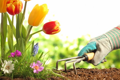 Professional garden layout planning for an Osterley property