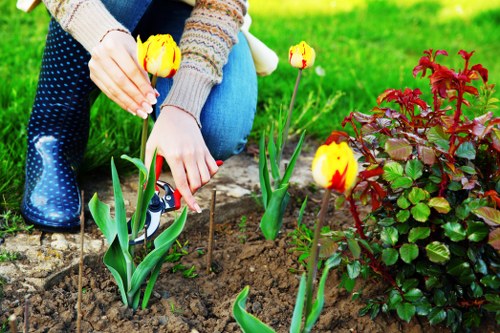Auditing labour practices in Osterley landscaping supply chains
