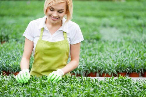 Local soft landscaping in Osterley for residential garden improvement